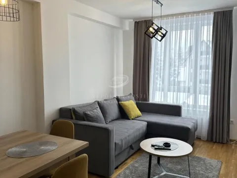 Sale, one bedroom apartment, 30m², Kraljevi Čardaci, Kopaonik - image 5