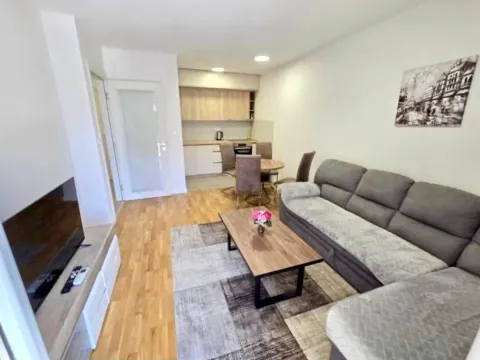 Rent, one bedroom apartment, 45m², Pobrežje, Podgorica - image 3