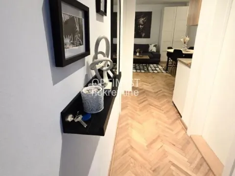 Izdavanje, dvosoban stan, 49m², Skadarlija, Beograd - image 3