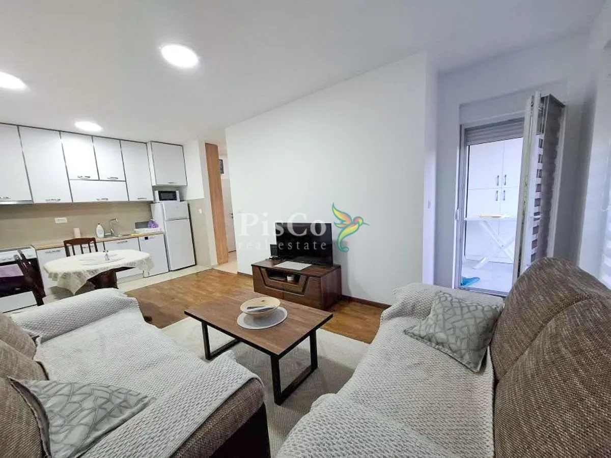 Rent, one bedroom apartment, 43m², Zabjelo, Podgorica