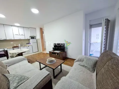 Izdavanje, jednosoban stan, 43m², Zabjelo, Podgorica - image 2