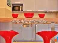 Izdavanje, dvosoban stan, 50m², Novi Beograd Blok 67, Novi Beograd Sve Podlokacije - image 2