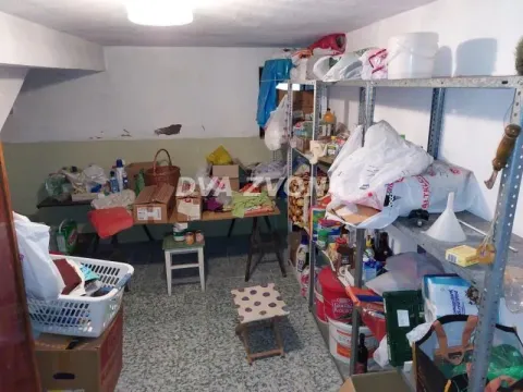 Sale, house, 400m², Sremska Kamenica, Petrovaradin - image 32