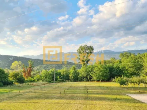 Prodaja, plac, 4430m², Danilovgrad, Crna Gora - image 3