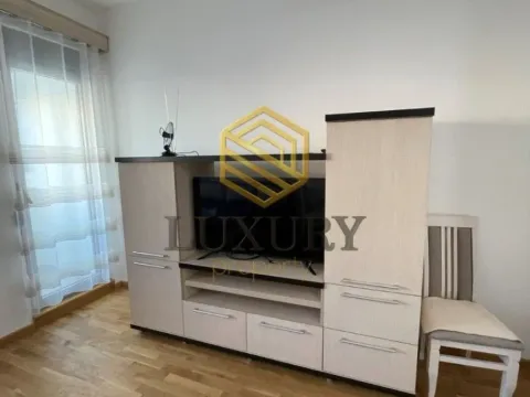 Izdavanje, jednosoban stan, 45m², Zabjelo, Podgorica - image 9