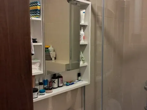 Izdavanje, garsonjera, 29m², Ljubović, Podgorica - image 10