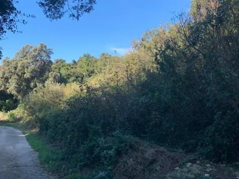 Sale, land lot, 1594m², Utjeha, Bar - image 4