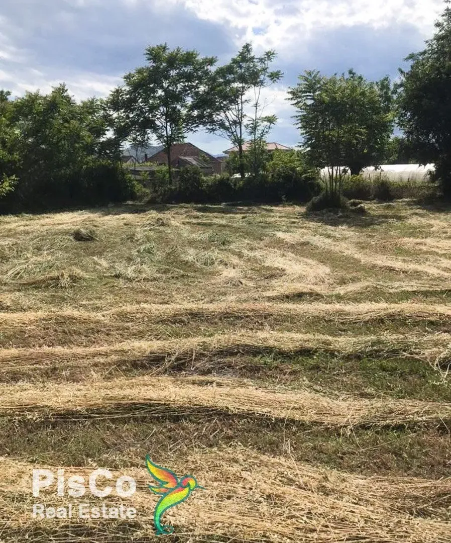 Prodaja, plac, 2000m², Zeta, Podgorica