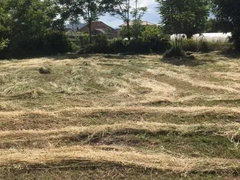 Sale, land lot, 2000m², Zeta, Podgorica - image 4