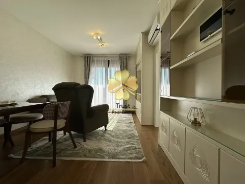 Izdavanje, jednosoban stan, 50m², Podgorica, Crna Gora - image 2