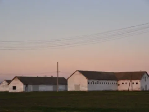 Prodaja, plac, 98000m², Vrbas, Novi Sad - image 11