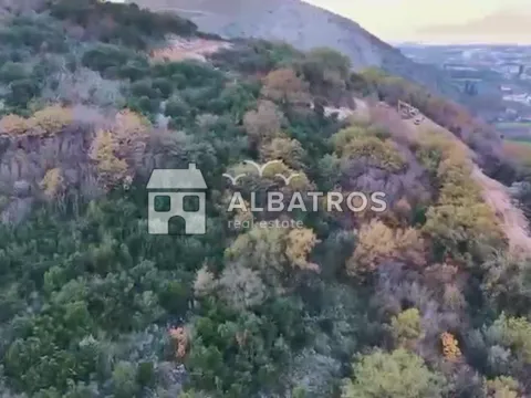 Prodaja, plac, 10000m², Zaljevo, Bar - image 11