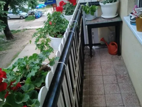 Prodaja, dvosoban stan, 70m², Begeč, Novi Sad Sve Podlokacije - image 16