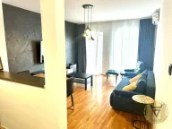 Izdavanje, trosoban stan, 65m², Južni Bulevar, Vračar Sve Podlokacije - image 3