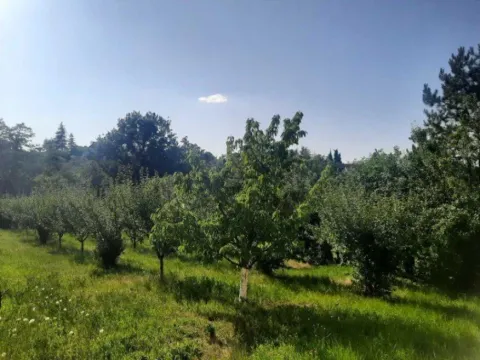 Prodaja, kuća, 40m², Brestovik, Grocka - image 5