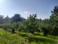 Prodaja, kuća, 40m², Brestovik, Grocka - image 5