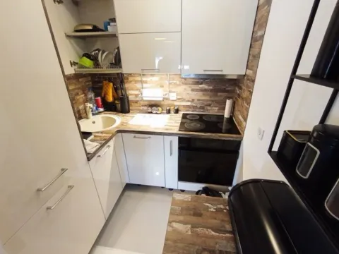 One Bedroom Apartment for Rent, 45m2, Blok 9, Podgorica