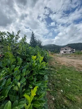 Dvorište sa zelenom živom ogradom i pogledom na kuću u pozadini. - image 6