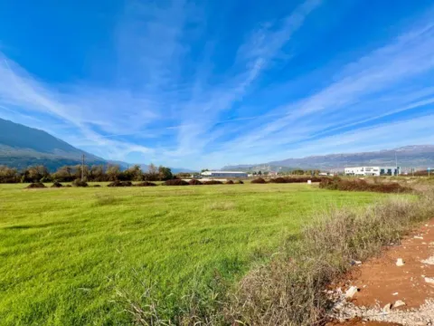 Prodaja, plac, 22000m², Danilovgrad, Crna Gora - image 4