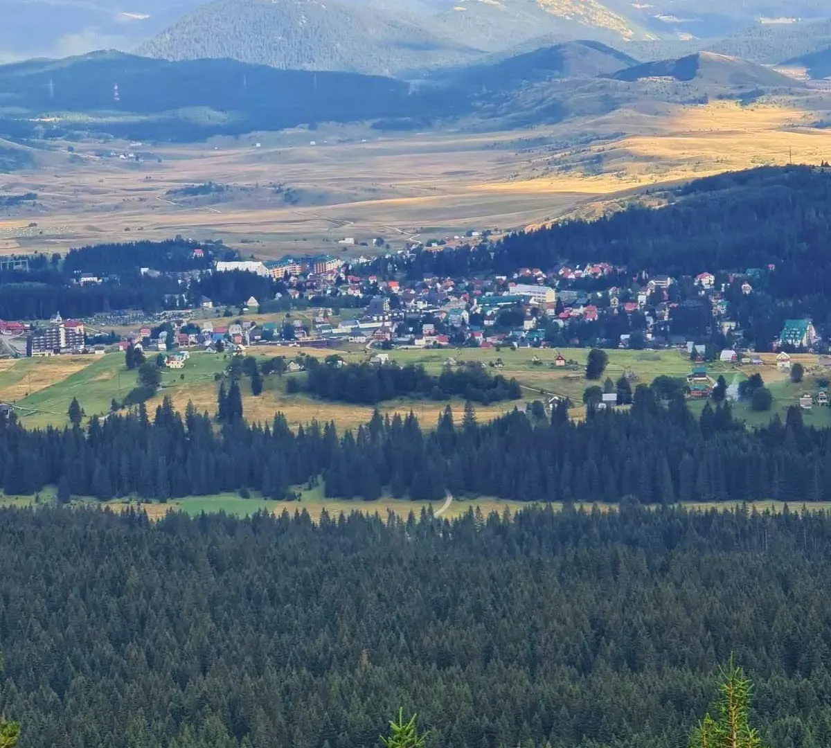 Sale, land lot, 40000m², Žabljak, Crna Gora