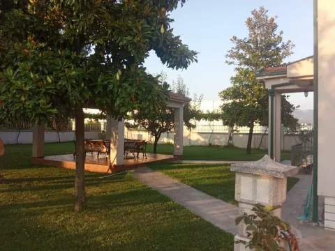 A landscaped yard with a lawn, trees, and a covered outdoor seating area. - image 3