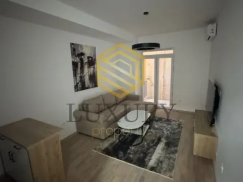 Izdavanje, garsonjera, 24m², 1 maj, Podgorica - image 3