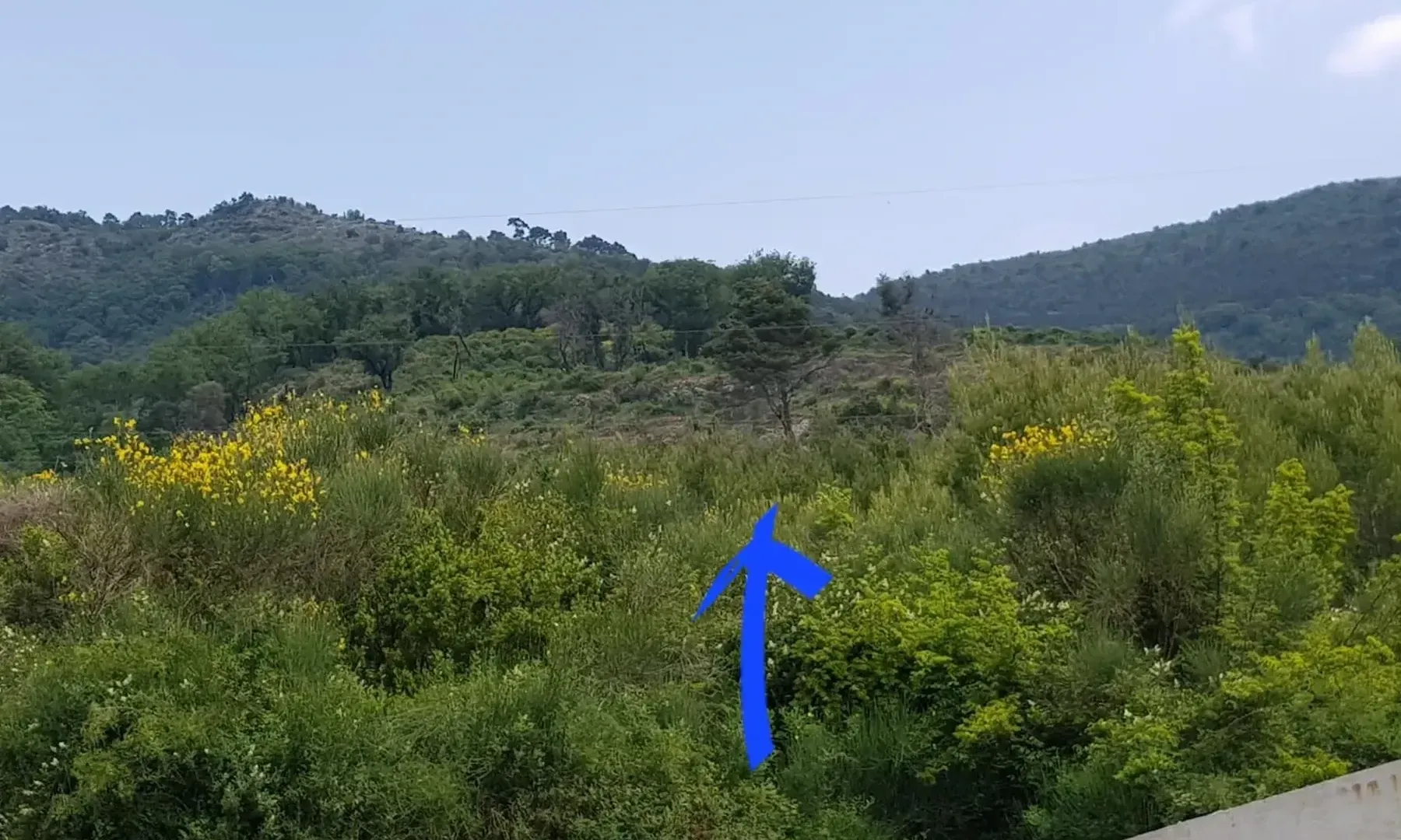 Sale, land lot, 1509m², Tivat, Crna Gora