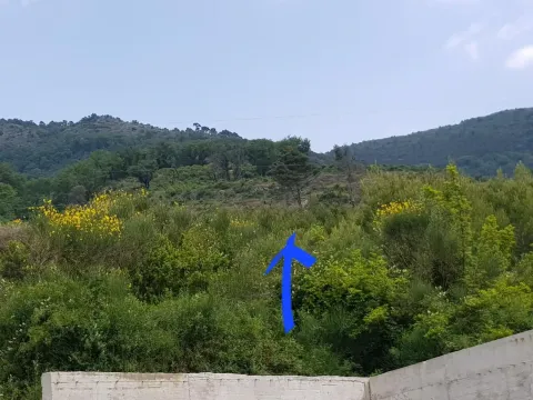 Prodaja, plac, 1509m², Tivat, Crna Gora - image 3