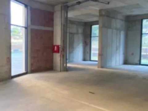 Izdavanje, poslovni prostor, 126m², Ljubović, Podgorica - image 5