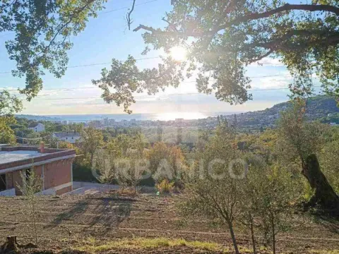 Zemljište in Bjeliši