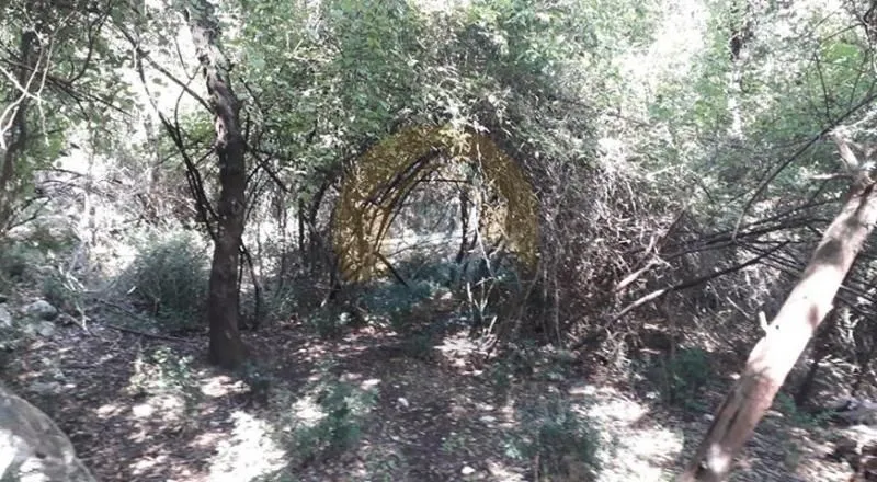 Prodaja, plac, 15000m², Perast, Kotor