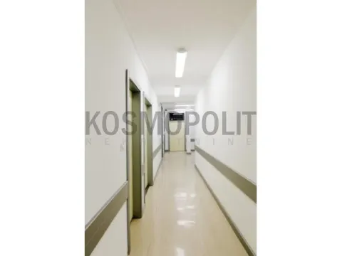 Sale, office space, 149m², Slavujev Venac, Zvezdara Sve Podlokacije - image 3