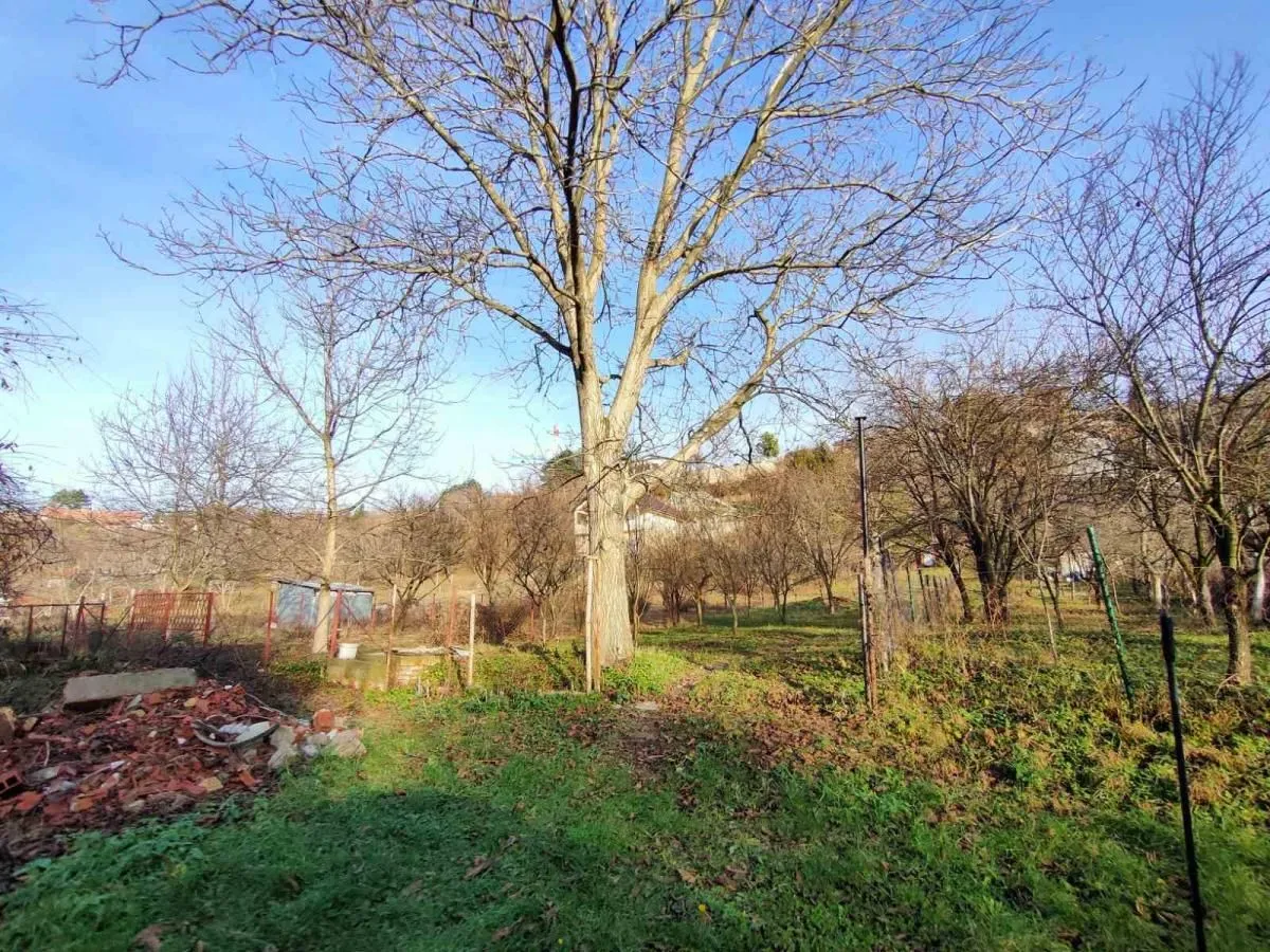 Prodaja, plac, 1000m², Sremska Kamenica, Petrovaradin