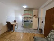 Izdavanje, jednosoban stan, 40m², Ljubović, Podgorica - image 7