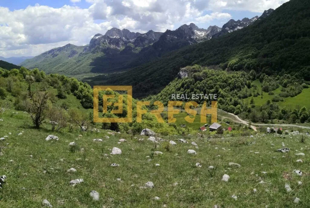 Prodaja, plac, 32000m², Kolašin, Crna Gora