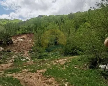 Prodaja, plac, 144000m², Kolašin, Crna Gora - image 10