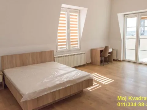 Izdavanje, kuća, 1400m², Savski Venac, Beograd - image 10