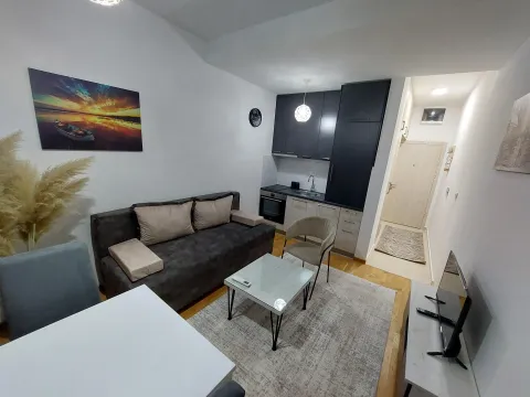 Izdavanje, jednosoban stan, 25m², Zabjelo, Podgorica - image 1