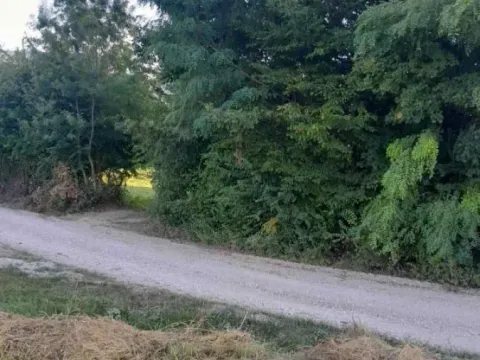 Sale, land lot, 9m², Mionica, Srbija