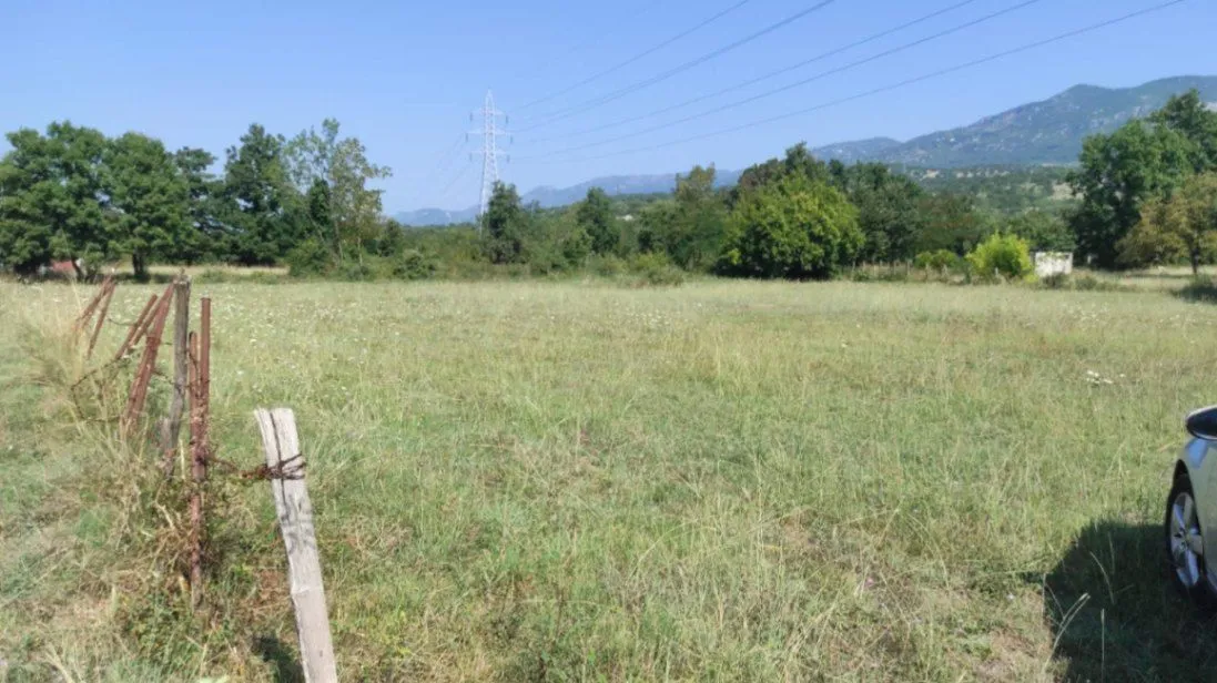 Prodaja, plac, 3000m², Martinići, Danilovgrad