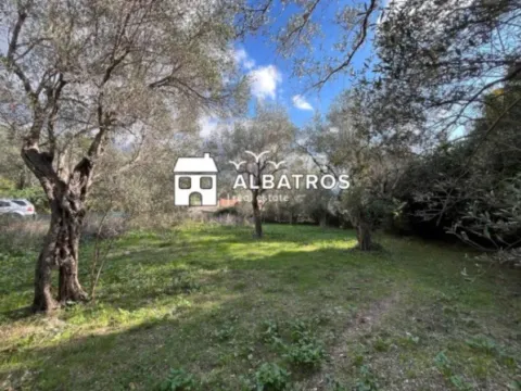 Sale, land lot, 800m², Bar, Crna Gora - image 3