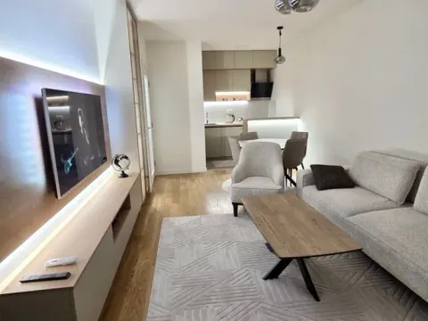 Izdavanje, jednosoban stan, 49m², Central Point, Podgorica - image 9