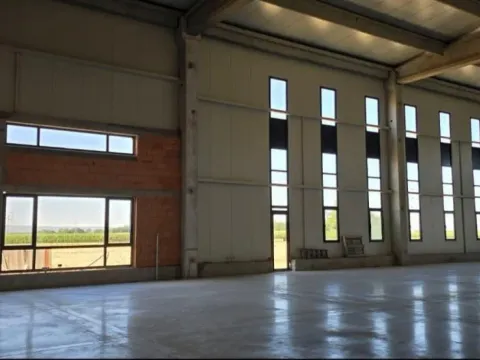 Izdavanje, poslovni prostor, 1220m², Čenej, Novi Sad Sve Podlokacije - image 7