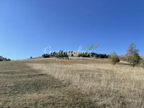 Sale, land lot, 38400m², Divčibare, Valjevo - image 7