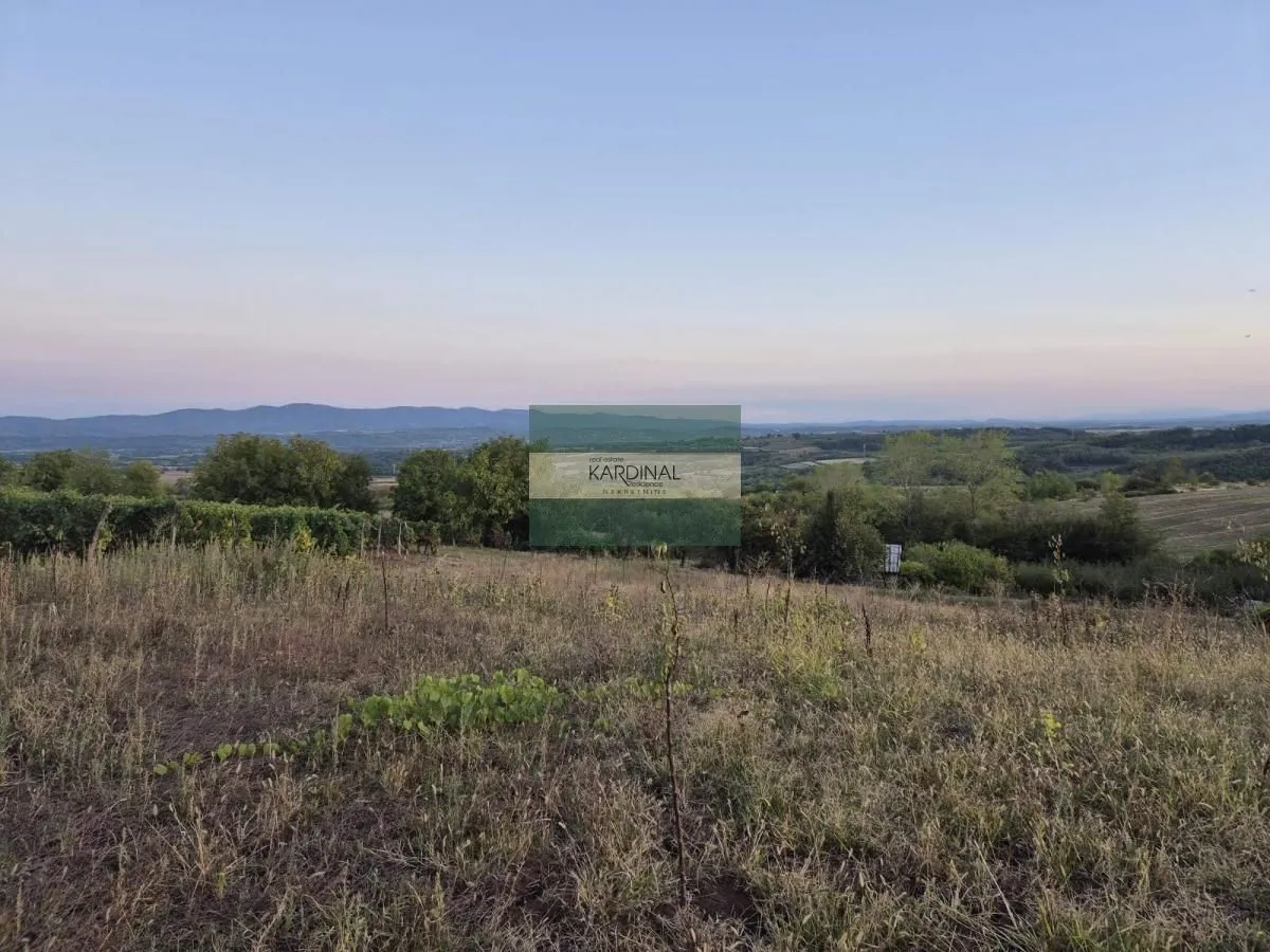 Prodaja, plac, 27920m², Siokovac, Jagodina