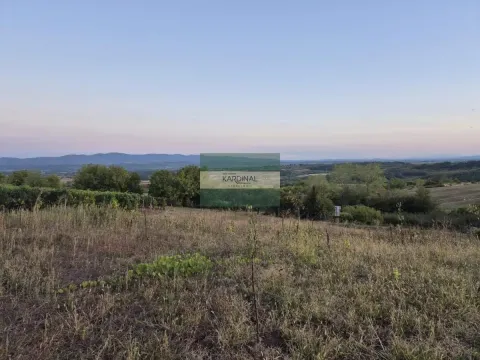 Prodaja, plac, 27920m², Siokovac, Jagodina - image 33