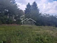 Prodaja, plac, Grocka, Beograd - image 4