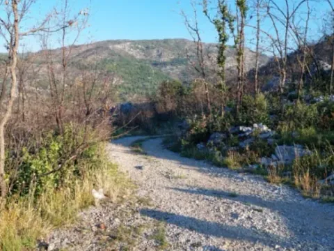 Prodaja, plac, 480000m², Brestice, Nikšić - image 13
