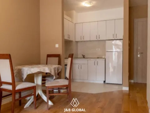 Izdavanje, jednosoban stan, 40m², Central Point, Podgorica - image 7