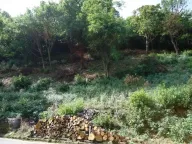 Sale, land lot, 20000m², Kostanjica, Kotor - image 3